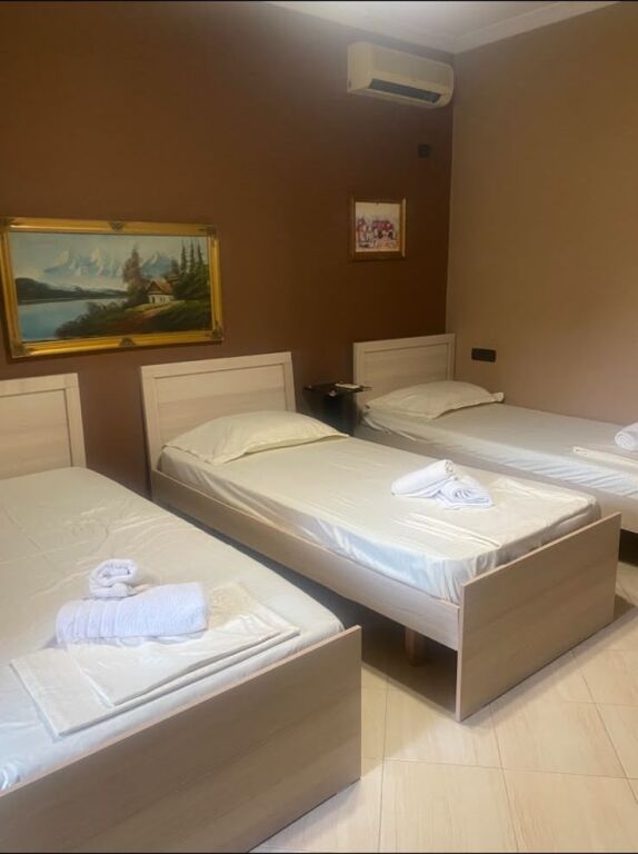 Appartamento 1+1 in affitto in Via Dibres/Ginnasio Partizani (50.000 Leke)