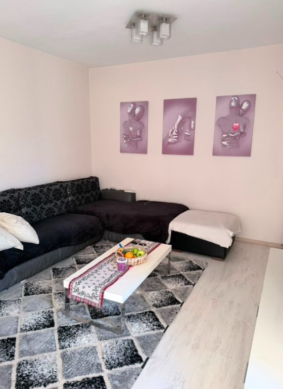 Apartment 1+1 for Rent in Brryl, near the New Maternity