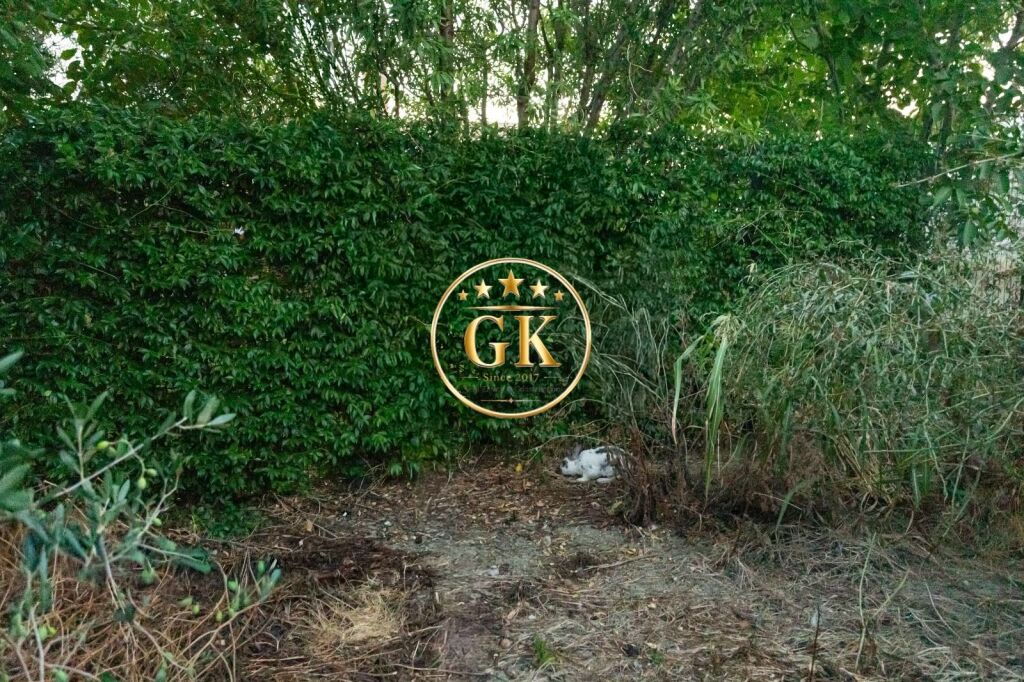 🏡 Pronë Ekskluzive nga Gold Key Invest – Një shtëpi me karakter dhe shpirt familjar vetëm 7 km nga Durrësi