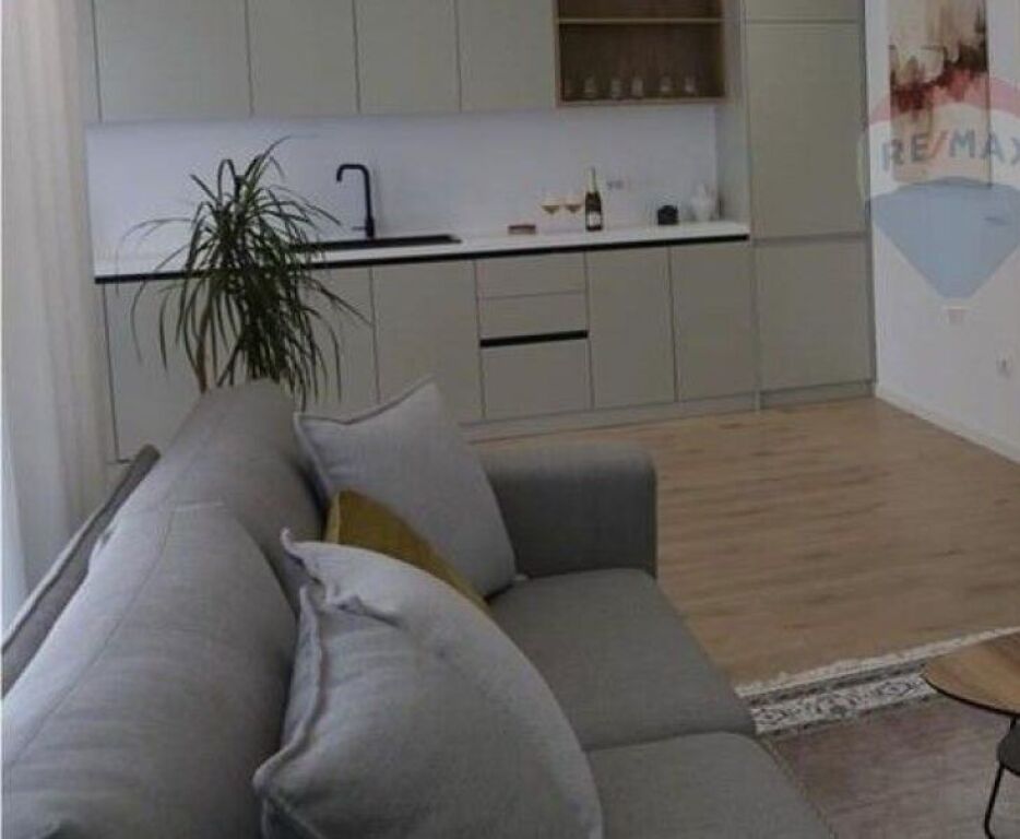 Appartamento - In Affitto - Zogu I Zi, Tirana ID: 530601003-213