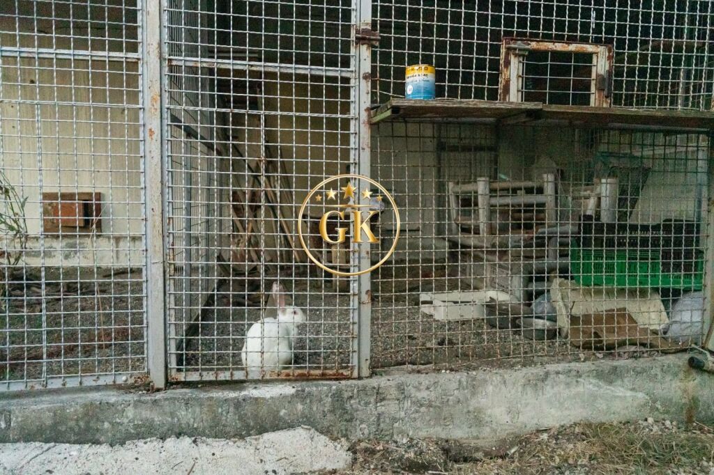 🏡 Pronë Ekskluzive nga Gold Key Invest – Një shtëpi me karakter dhe shpirt familjar vetëm 7 km nga Durrësi