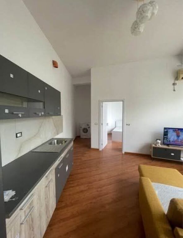 FOR RENT APARTMENT 1+1 - ZOOLOGICAL GARDEN, TIRANA