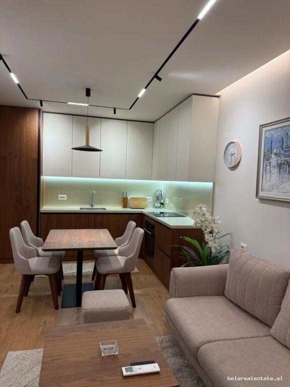 Apartment for rent 1+1 in Astir (ID B2101833) Tirane