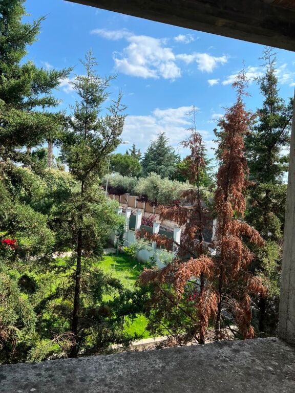 Shitje | Vilë 3 + 1 | Rruga Dalip Topi | 677000 €