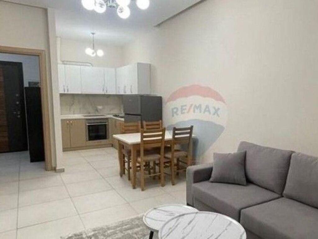 FOR RENT, APARTMENT 1+1, FRESKU, TIRANA  ID:530581008-158
