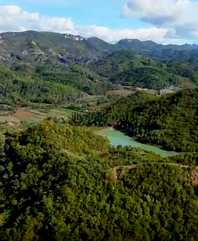 SHITET TOKE 📍KALAJA E PETRELES   SIP. 8000 M2