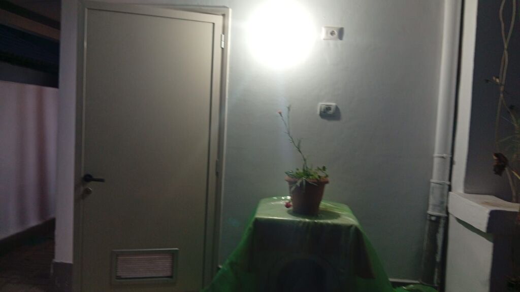 Rent | Apartament 1 + 1 | Ali Demi | 300 €/month