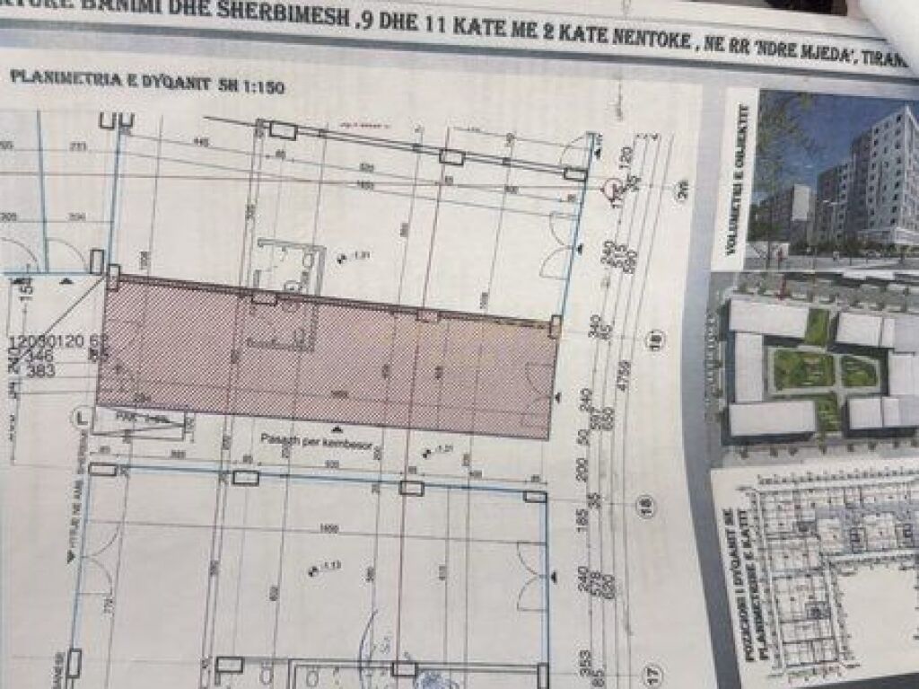 ✨ Locale Commerciale in Affitto – Via Ndre Mjeda ✨