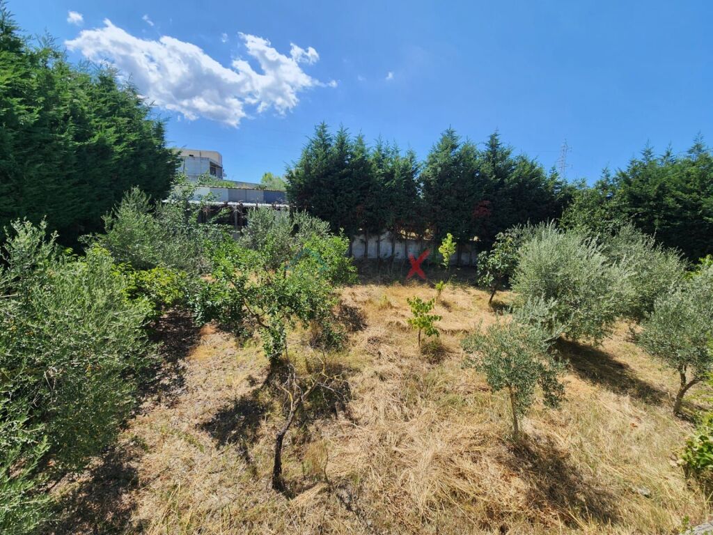 🌿 LIVE WITH COMFORT, PRIVACY AND PEACE – LUXURY VILLA IN RRASHBULL, DURRËS
