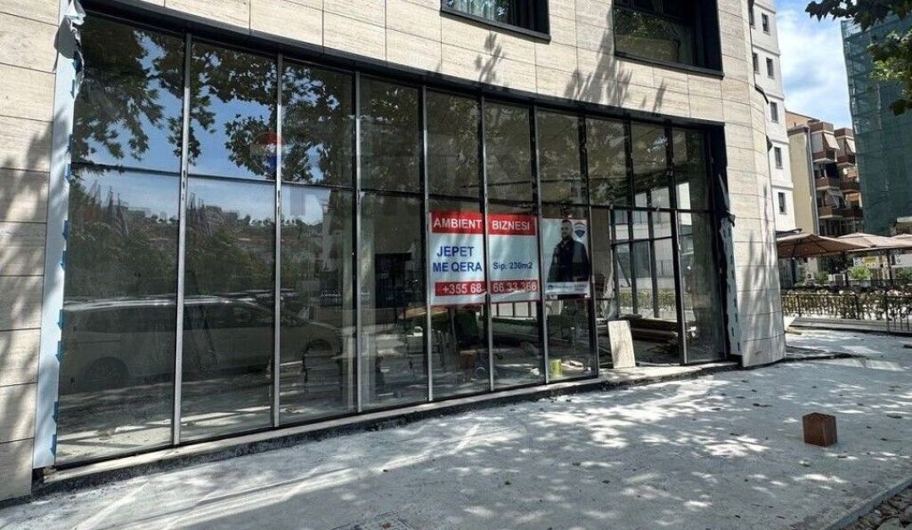 Apartment - For Rent - Dry Lake, Tirana(ID: 530191061-204)