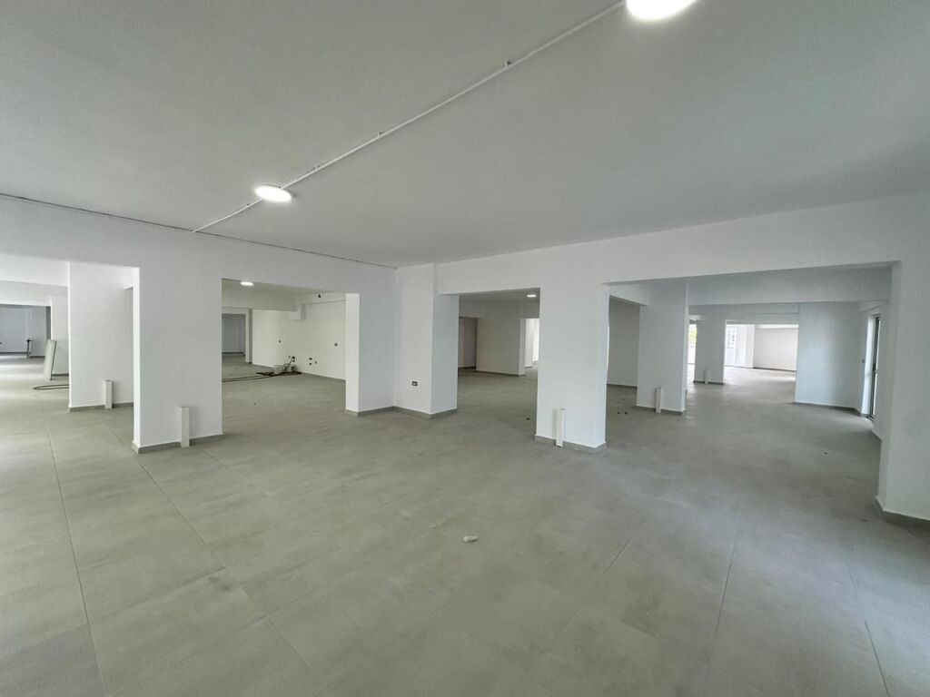 Business/office space for rent 1000m2