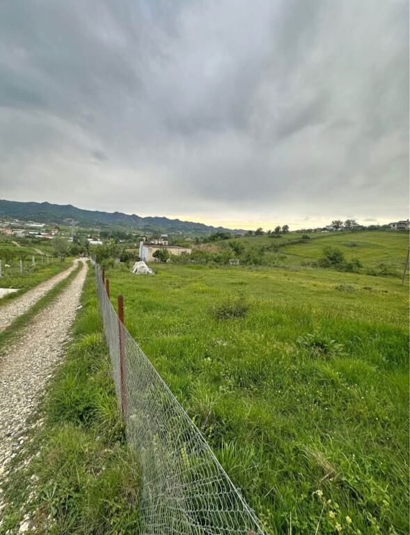 SHITET TOKA 2000 M2 - KASHAR, TIRANE