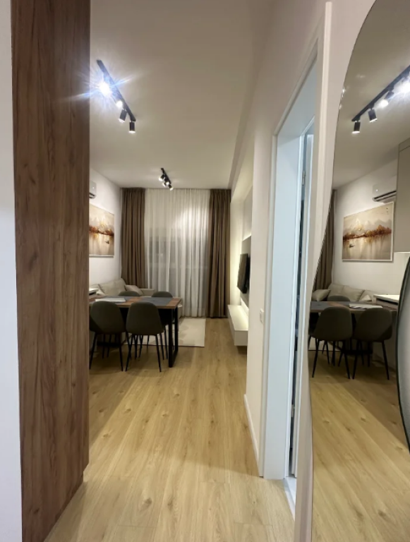 Appartamento 1+1 in Affitto Ali Demi Tirana