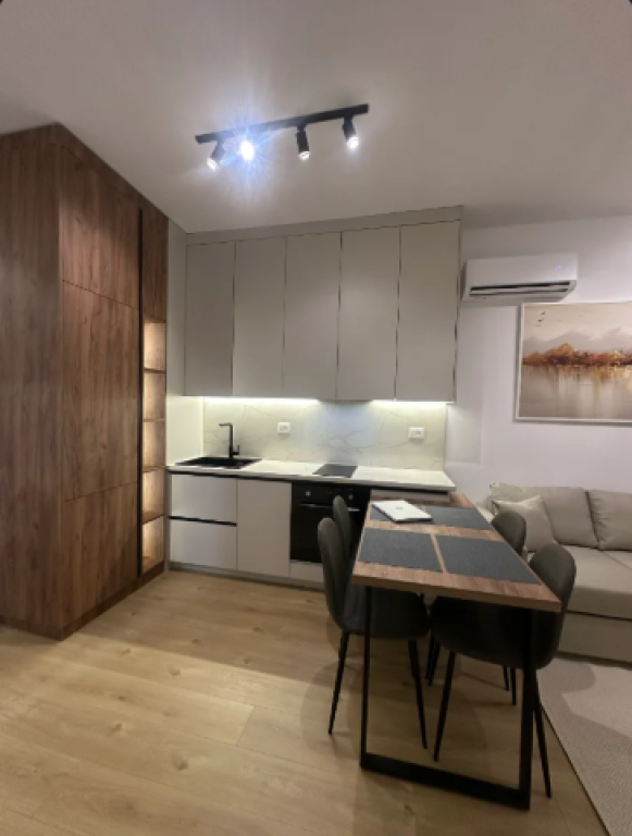 Apartament 1+1 me Qira Ali Demi Tirane