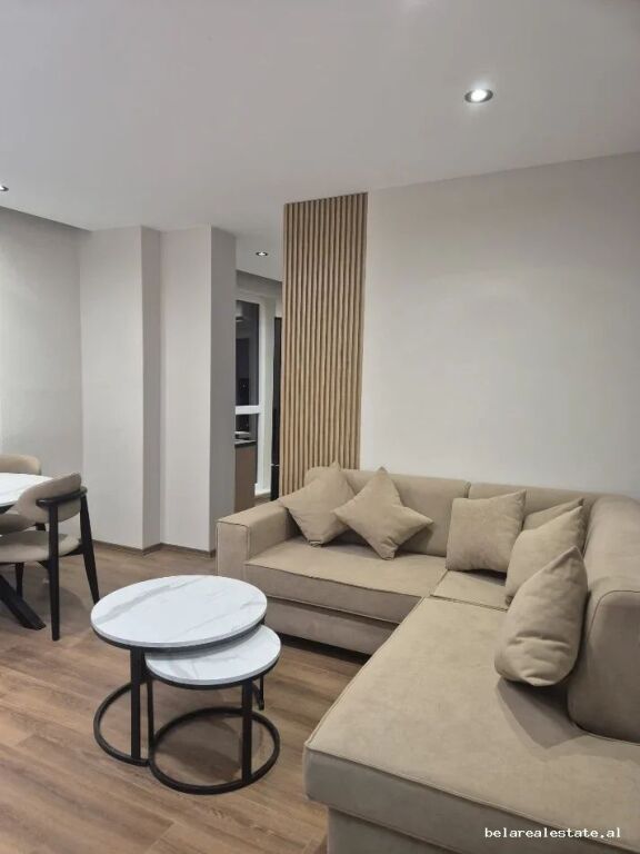 Apartment for rent 1+1 at Rruga e Dibres (ID B2101838) Tirane