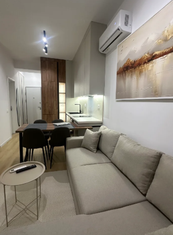 Appartamento 1+1 in Affitto Ali Demi Tirana