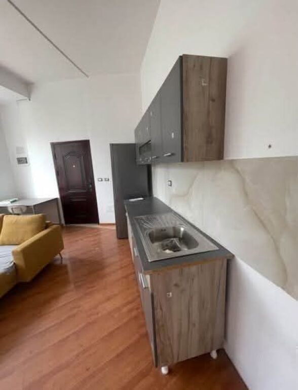 FOR RENT APARTMENT 1+1 - ZOOLOGICAL GARDEN, TIRANA