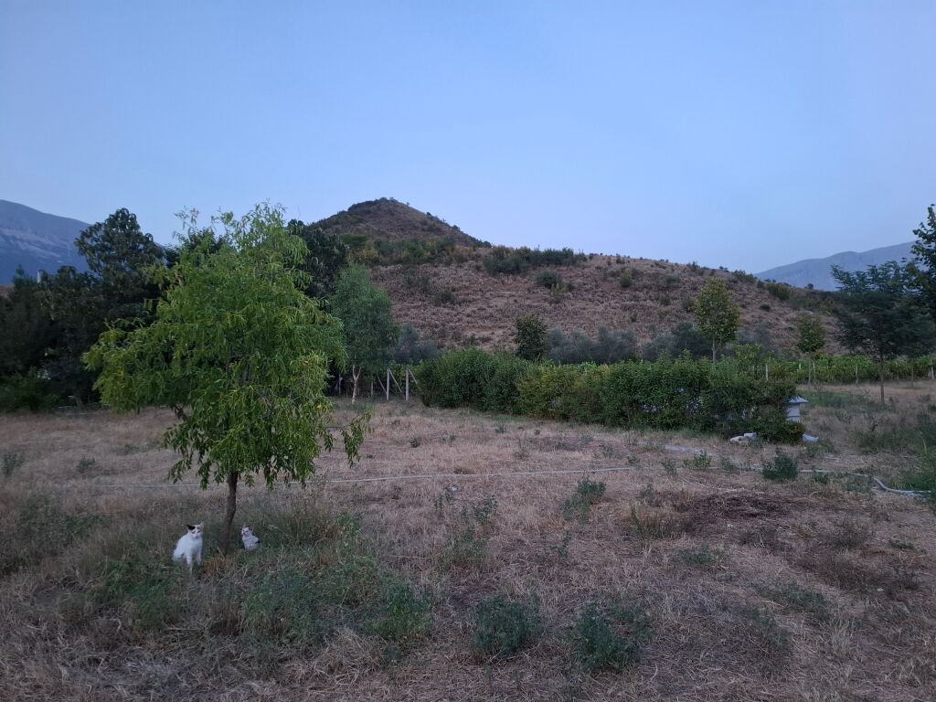 FOR SALE FARM &amp; PRIVATE HOUSE ASIM ZENELI GJIROKASTER