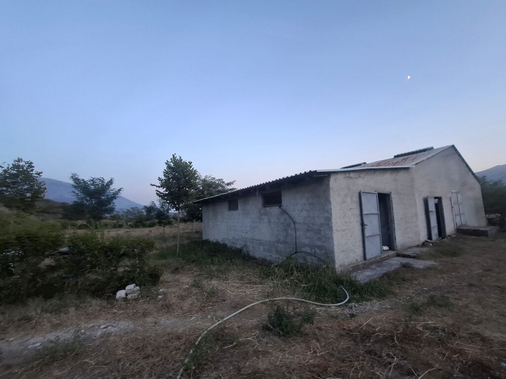 FOR SALE FARM &amp; PRIVATE HOUSE ASIM ZENELI GJIROKASTER