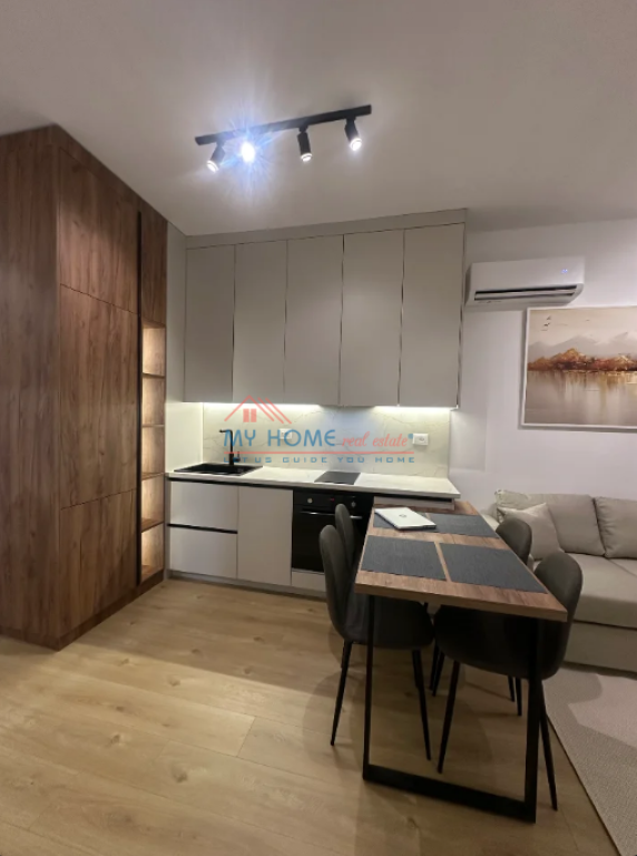 Apartment 1+1 for Rent Ali Demi Tirane