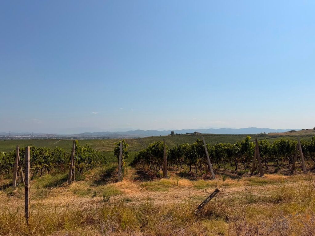 Tokë Arë për Shitje – Shkallnur, Durrës