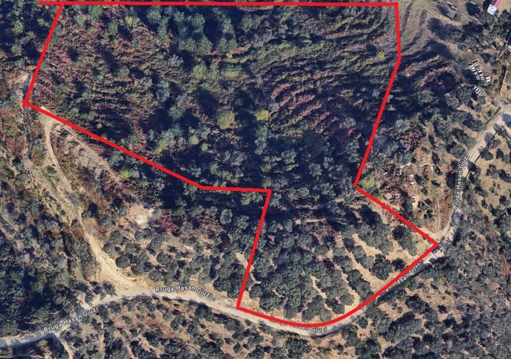 SHITET TOKA 18 500 M - MJULL-BATHORE, TIRANE