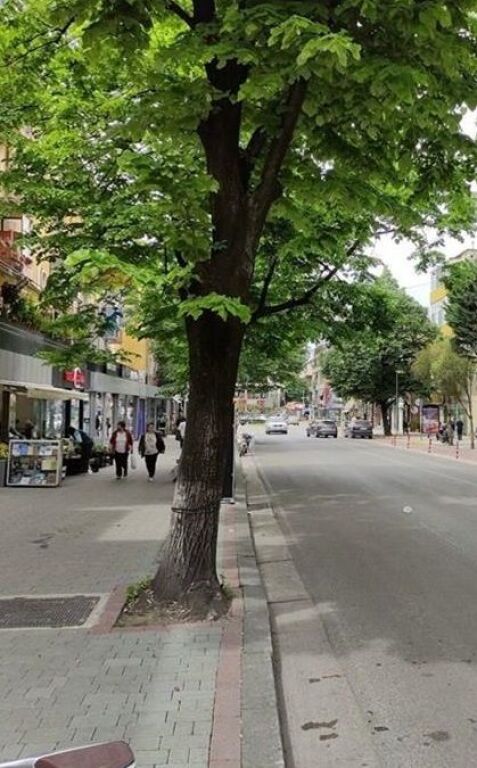Commercial space for rent in Bllok ID: 530281057-87