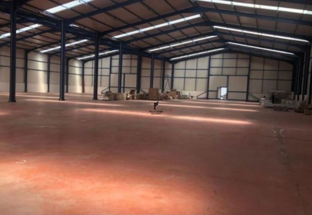 WAREHOUSES FOR RENT 250 M2 5 MAY 170,000 LEKE FH-86287