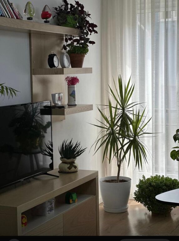Jepet me qera 2+1 RR. E DIBRES MINISTRIA E MBROJTJES 650 MIJE LEKE