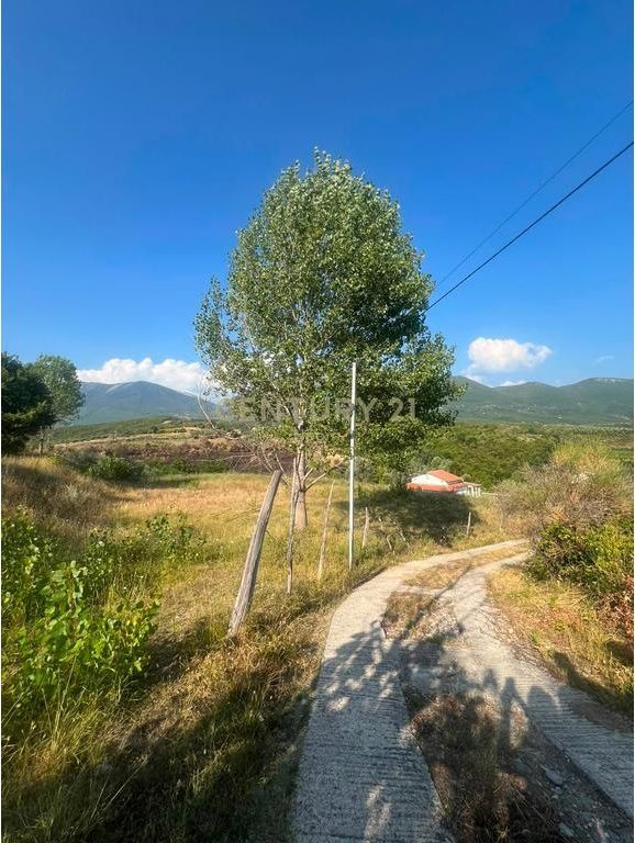 Shitet truall 850 + 2300 m² në Barbas