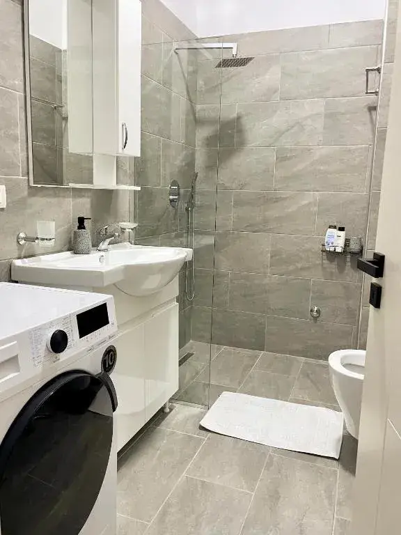 Jepet apartament 1+1 me qera prane Zogut te Zi, rr muhamed gjollesha