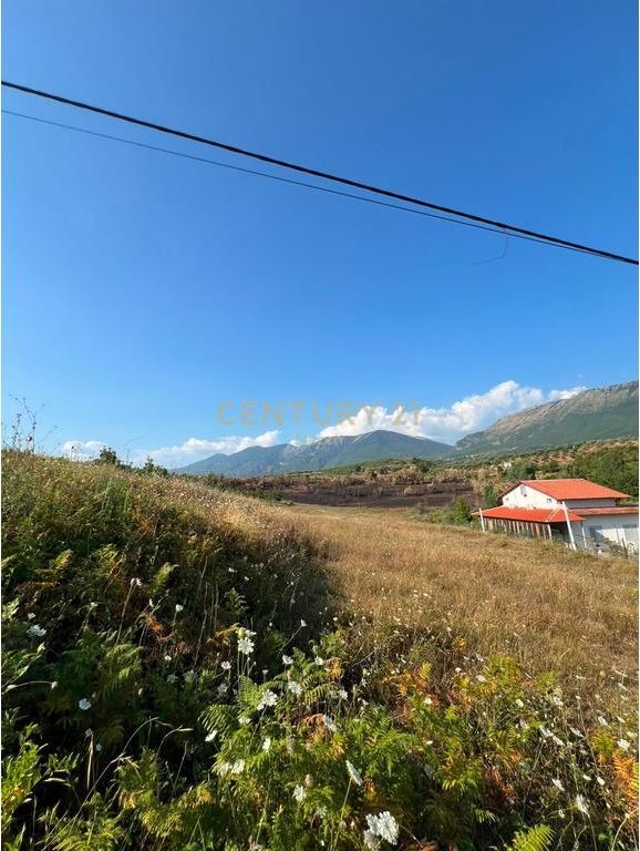 Shitet truall 850 + 2300 m² në Barbas