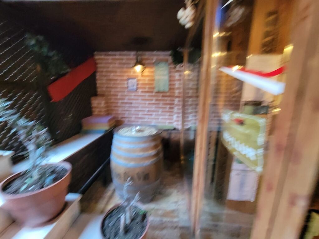 Lokal per shitje, Sheshi Willson