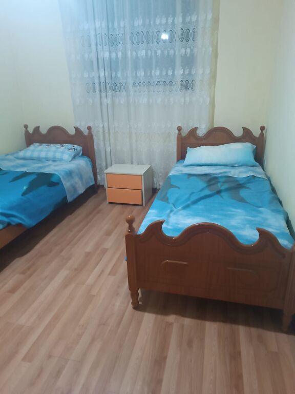 JEPET APARTAMENT ME QERA 2+1, TREGU ELEKTRIK