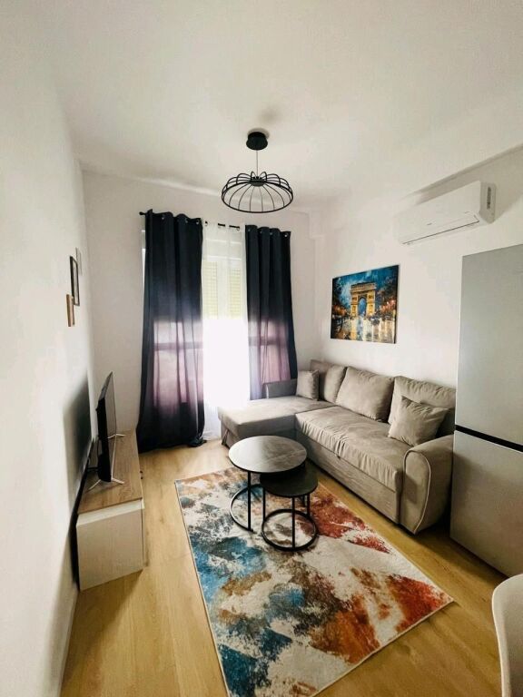 Apartament 1+1 me Qira Ali Demi Tirane