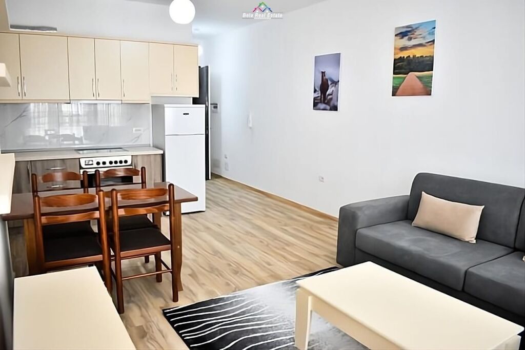Apartment For Rent 1+1 in Laprake (ID B2101409) Tirane