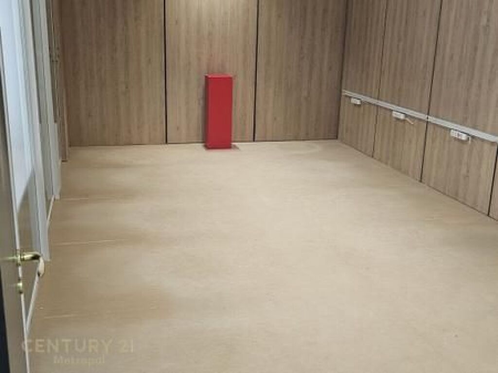 Jepet zyre me qera ,Kopshti Zoologjik!