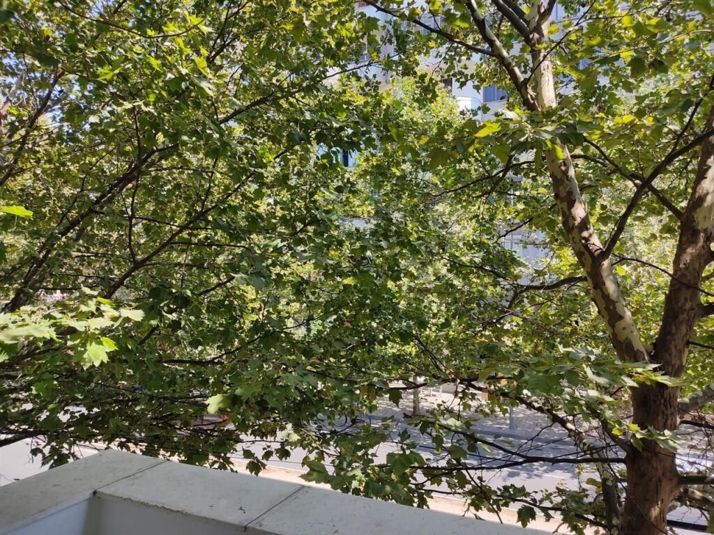 Qera | Apartament 2 + 1 | Rruga e Dibrës | 480 €/muaj