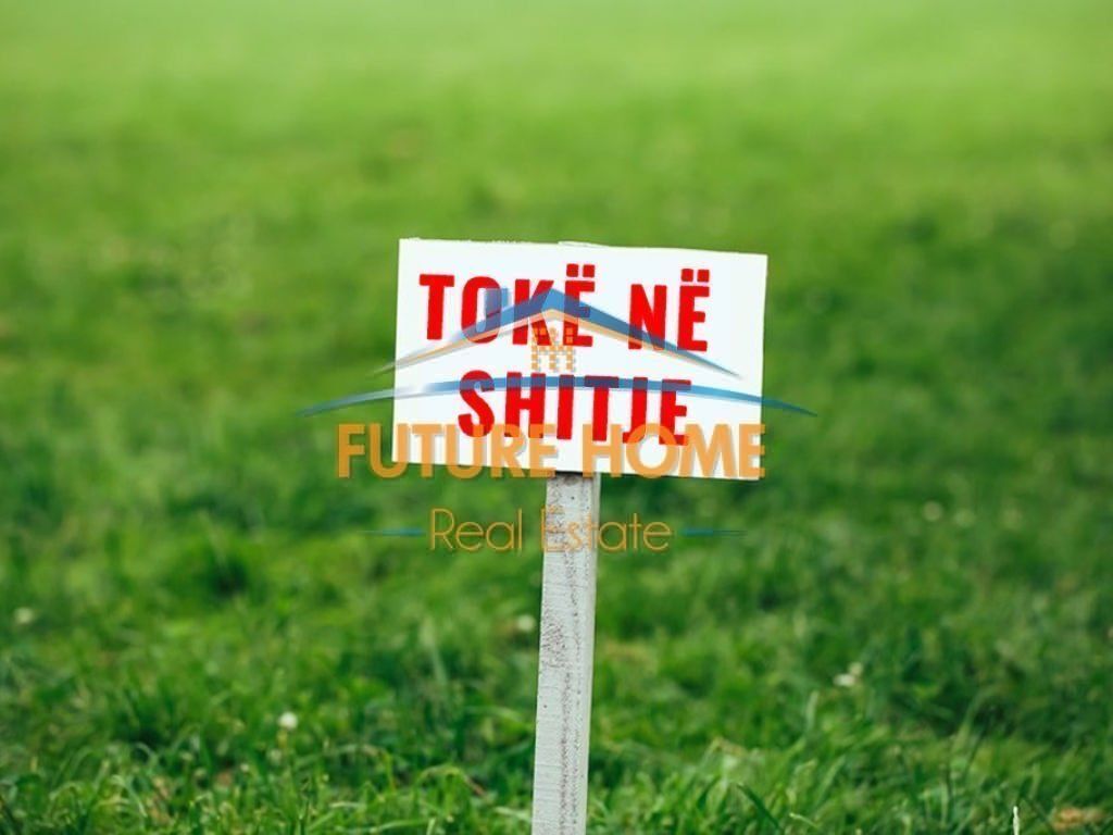 Shitet, Tokë, Yzberisht, Tiranë.