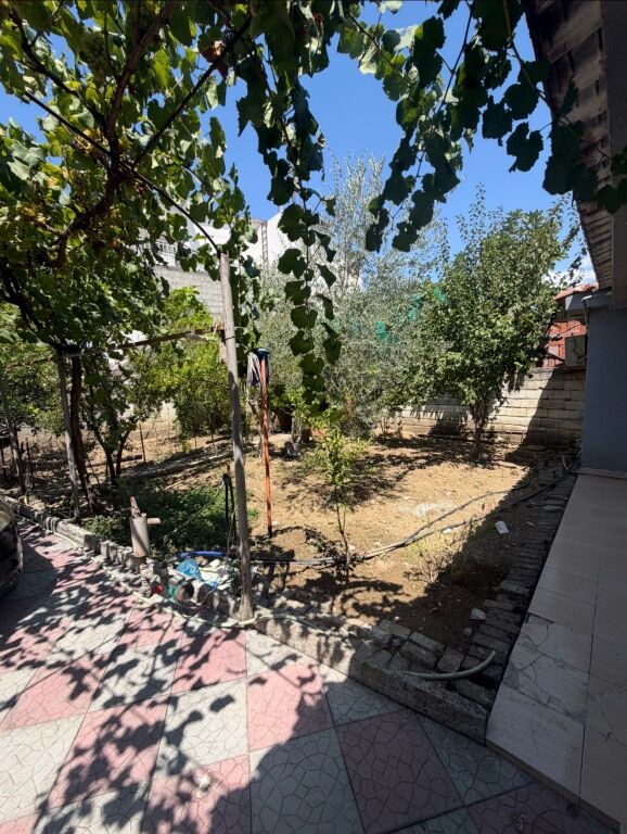 Private house for rent