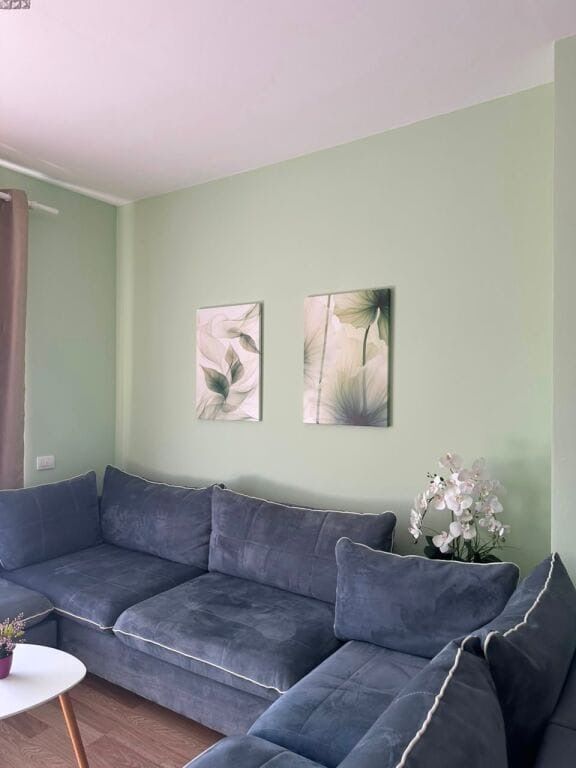 Apartament 1+1 me qira prane Toptanit