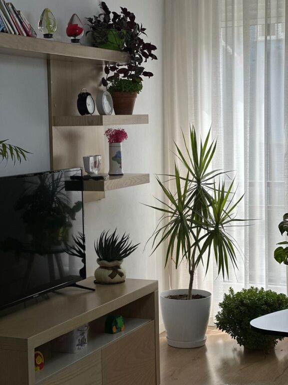 Apartment for rent 2+1 at Dibres Street