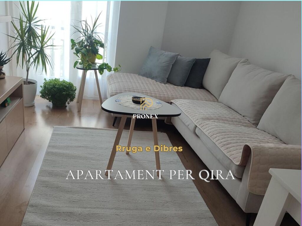 Apartment for rent 2+1 at Dibres Street