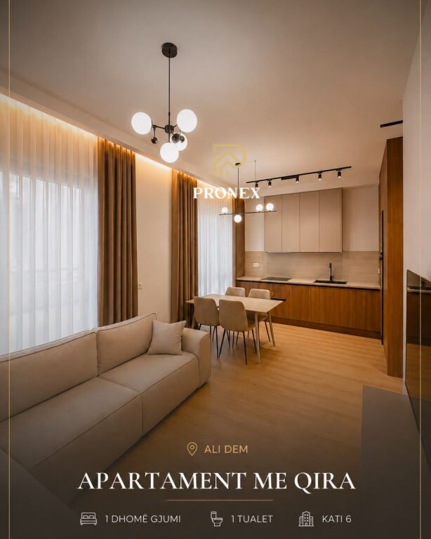 Apartament me qira 1+1 ne Ali Dem