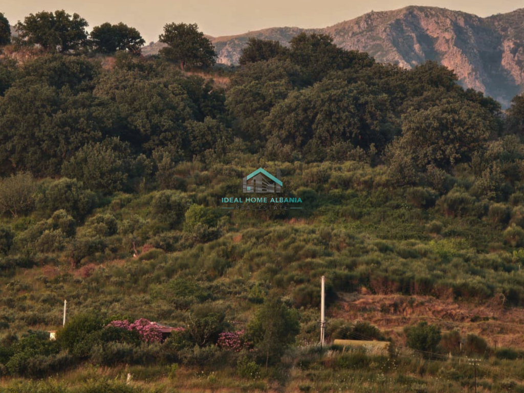 LAND FOR SALE – RADHIMË, VLORË