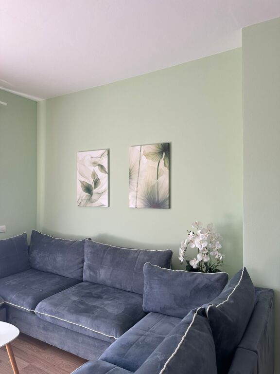 Apartment 1+1, Toptani Center