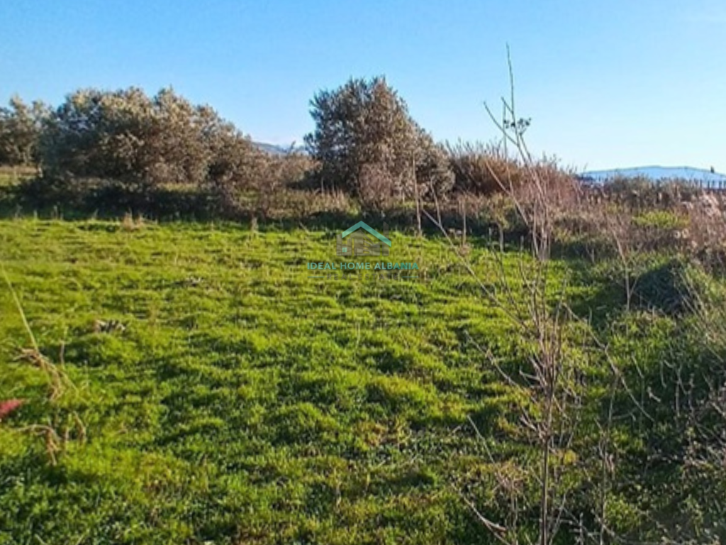 TOKE PER SHITJE – PANAJA VLORE