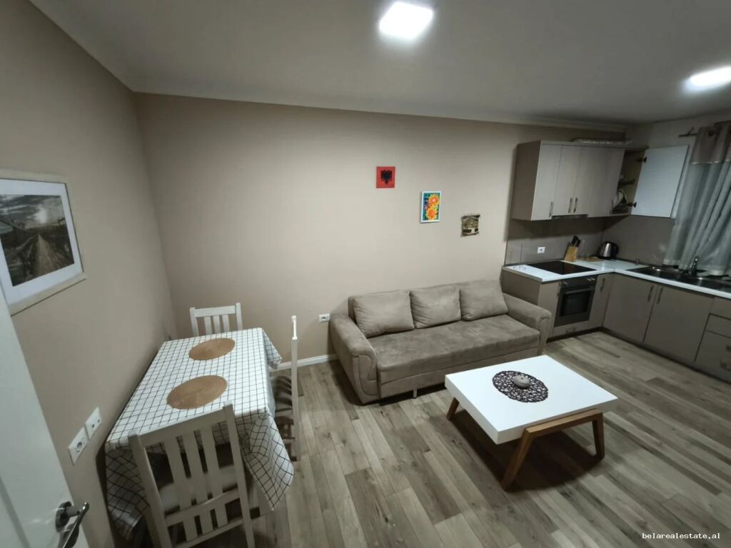 Apartment For Rent 1+1 At Durres Street (ID B211479) Tirana
