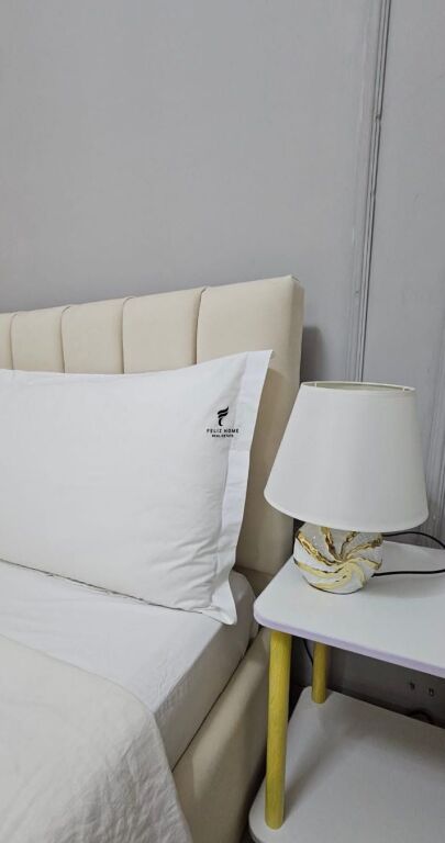 APARTMENT FOR RENT 1+1 KAVAJES STREET 60,000 LEKE FH-87510