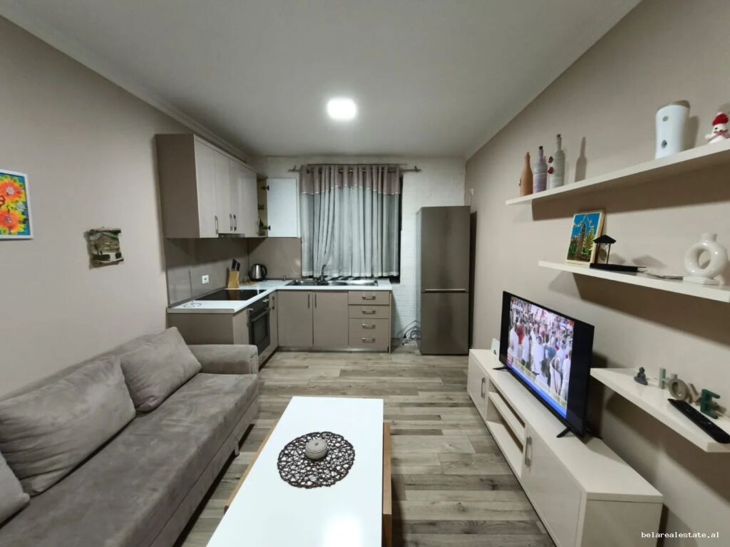 Apartment For Rent 1+1 At Durres Street (ID B211479) Tirana